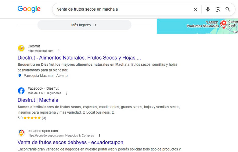Caso de Éxito Diesfrut - Diseño Web y SEO en Ecuador